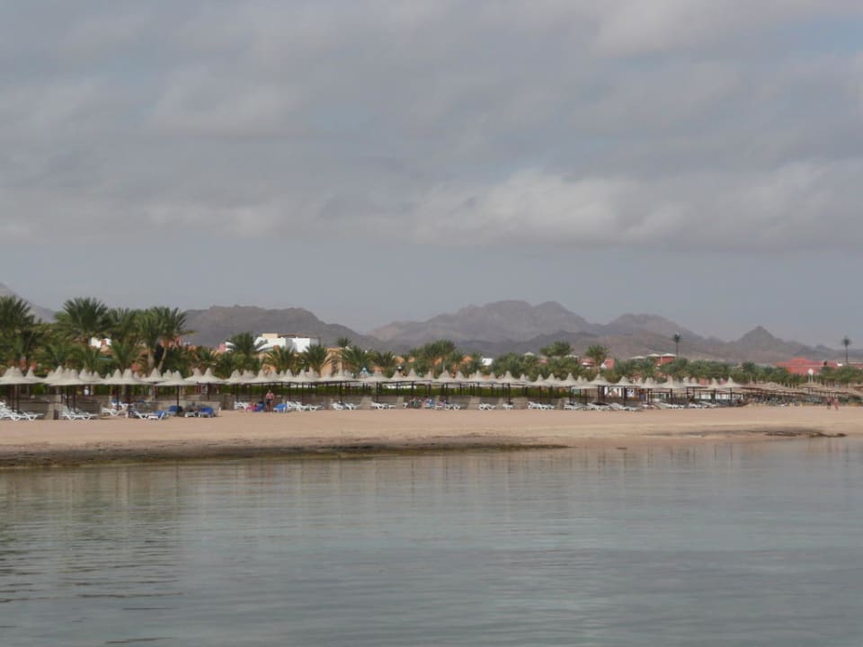 Strand vom Badesteg aus betrachtet TUI MAGIC LIFE Redsina Sharm El Sheikh