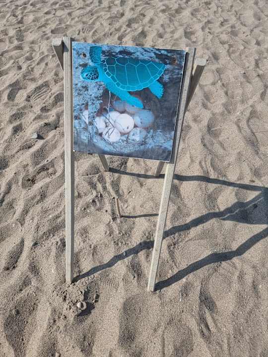 Strand Belek Beach Resort Hotel