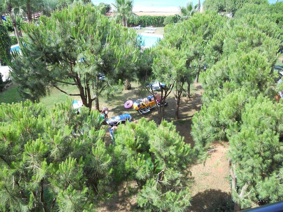 Ausblick vom Balkon Club Turtas Beach Hotel