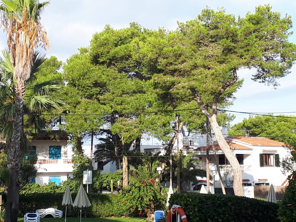 Gartenanlage Globales Cala Blanca