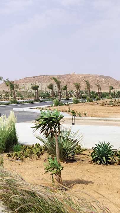 Außenansicht SUNRISE Anjum Resort Marsa Alam