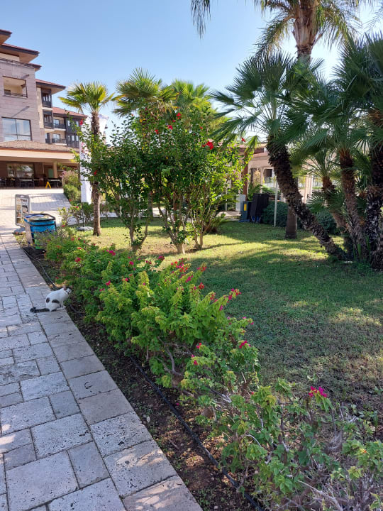 Außenansicht Calimera Serra Palace