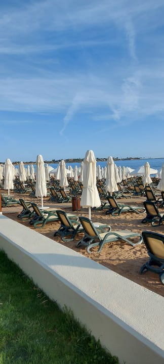 Strand Side Star Elegance