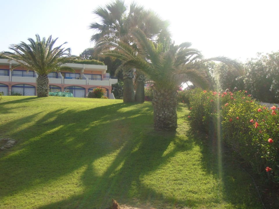 Palmen Kresten Palace Hotel