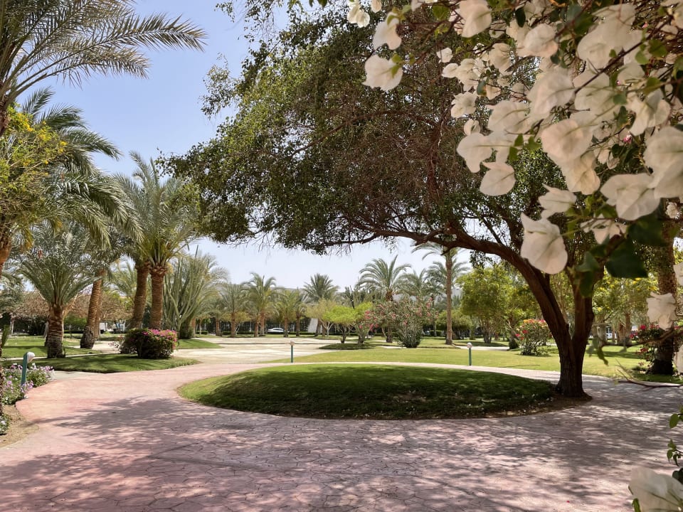 Außenansicht Desert Rose