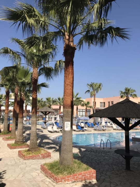 Otoczenie basenu Caretta Beach Resort & WaterPark