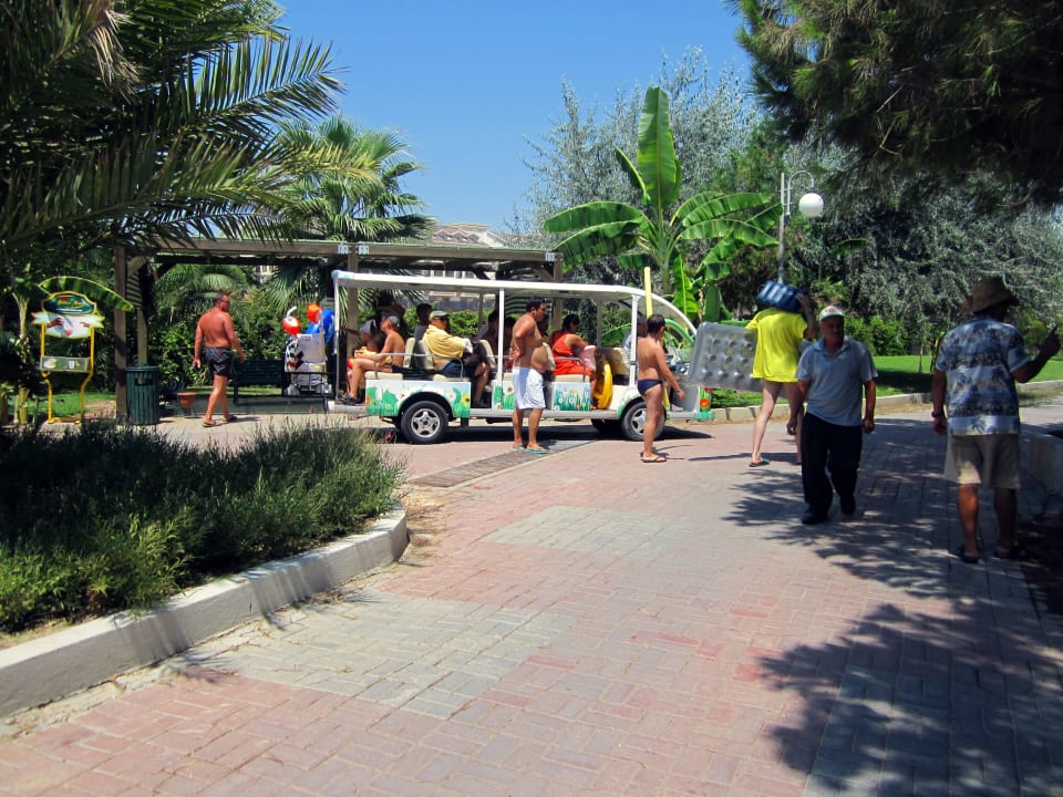 Shuttle-Bus zum Strand VONRESORT Golden Beach