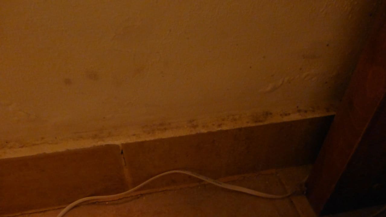 Schimmel im Zimmer Shams Safaga Resort