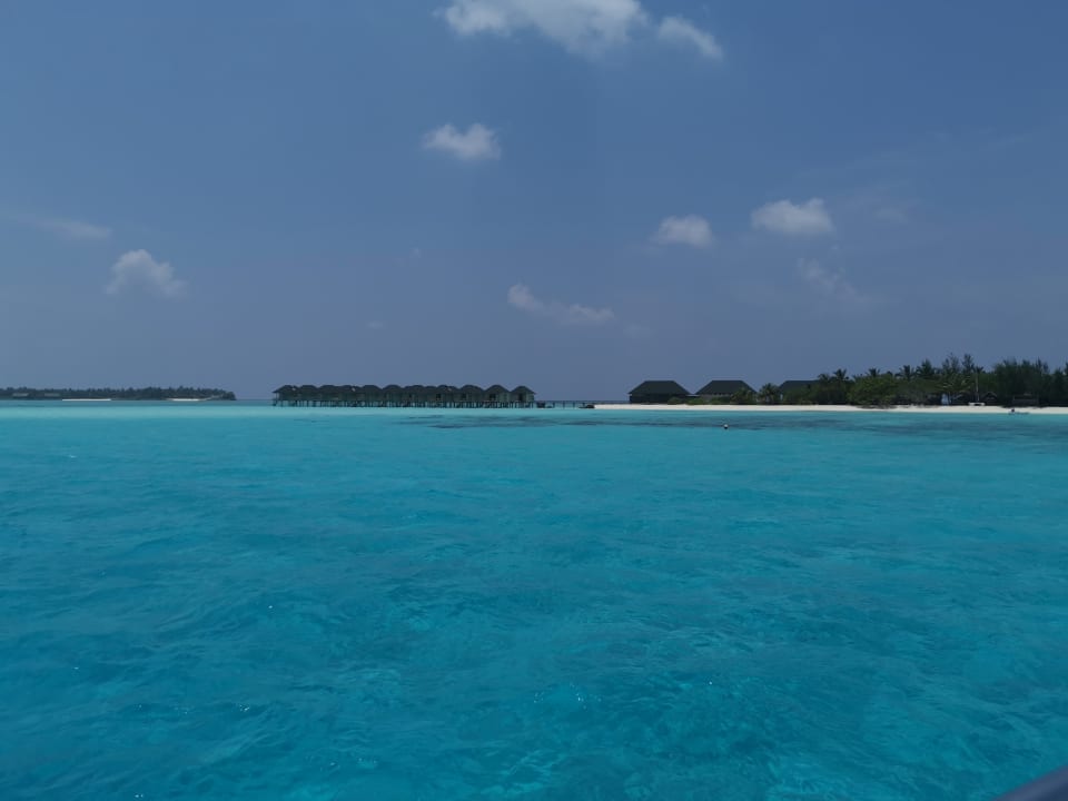 Strand Summer Island Maldives