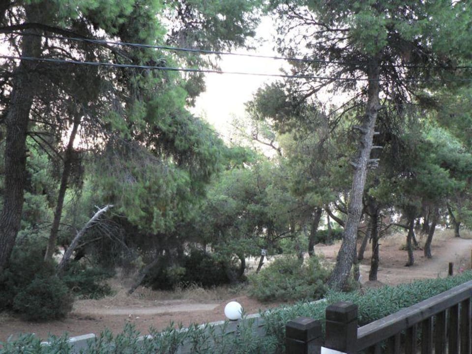 Blick vom Balkon Philoxenia Hotel