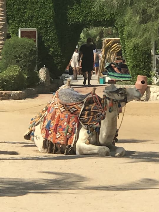 Sonstiges Arabella Azur Resort