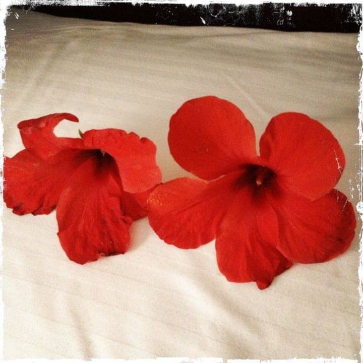 Deko Pickalbatros Alf Leila Wa Leila Resort - Neverland Hurghada