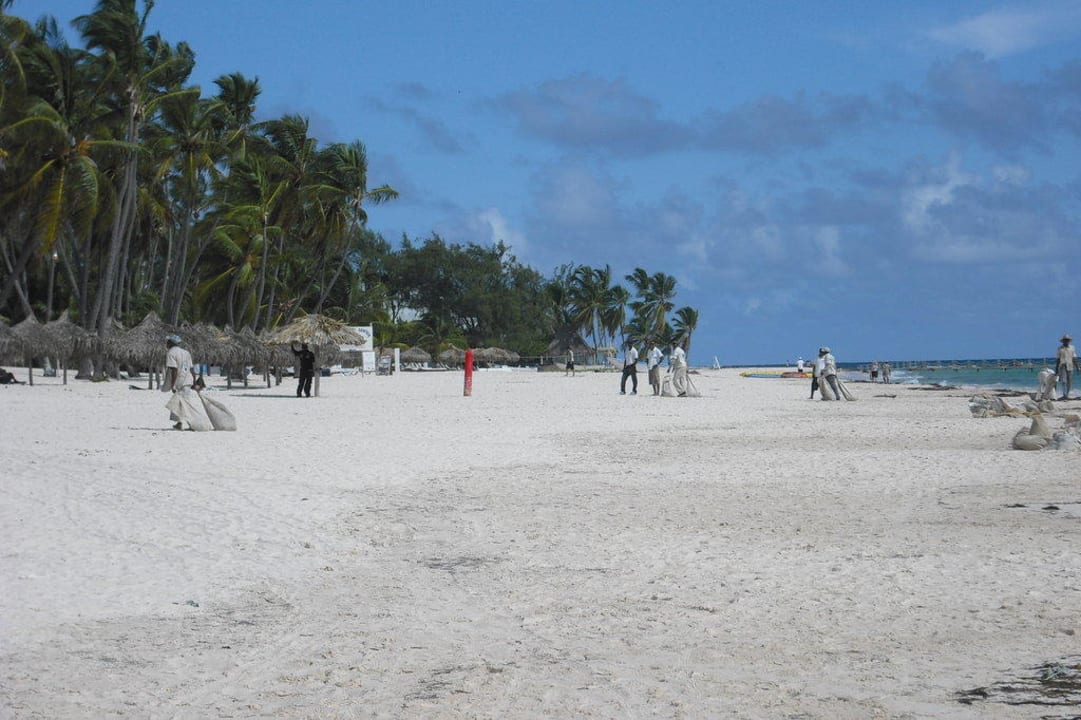 Strand Dreams Royal Beach Punta Cana