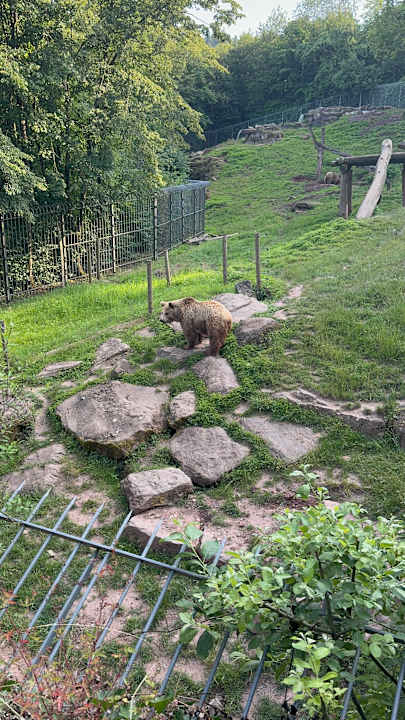 Sport & Freizeit Natur-Resort Tripsdrill