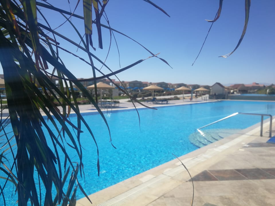 Pool Pickalbatros Sea World Resort - Marsa Alam