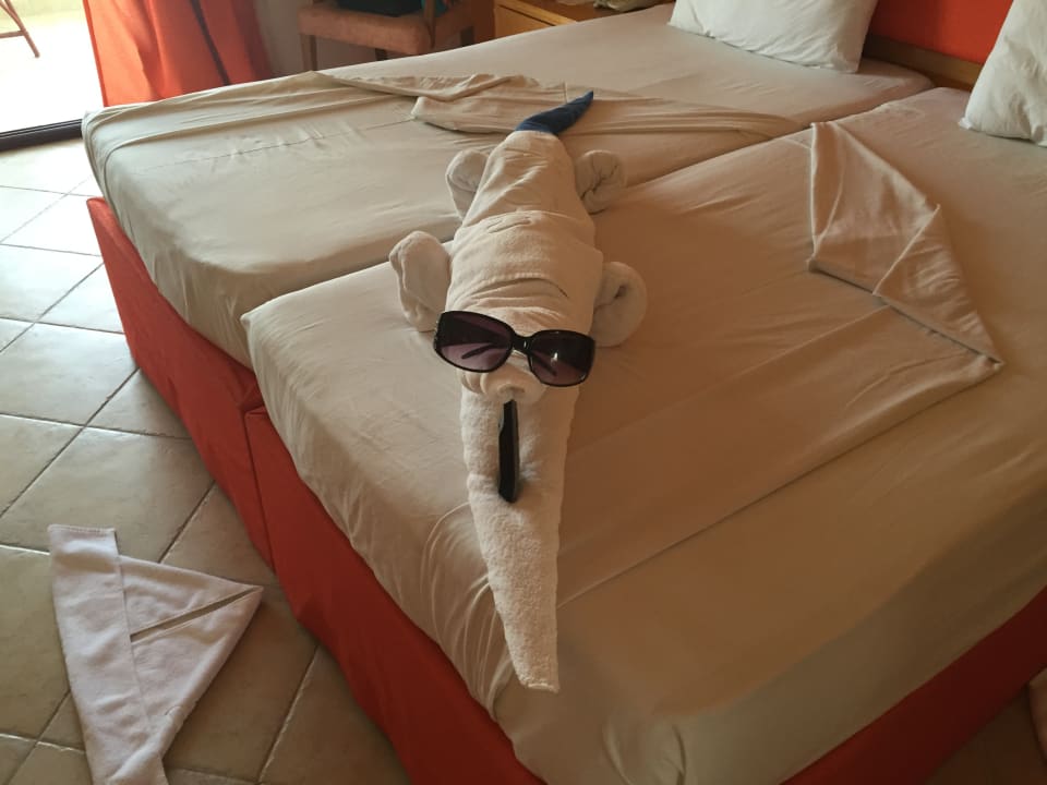 Zimmer Hotel Gorgonia Beach Resort