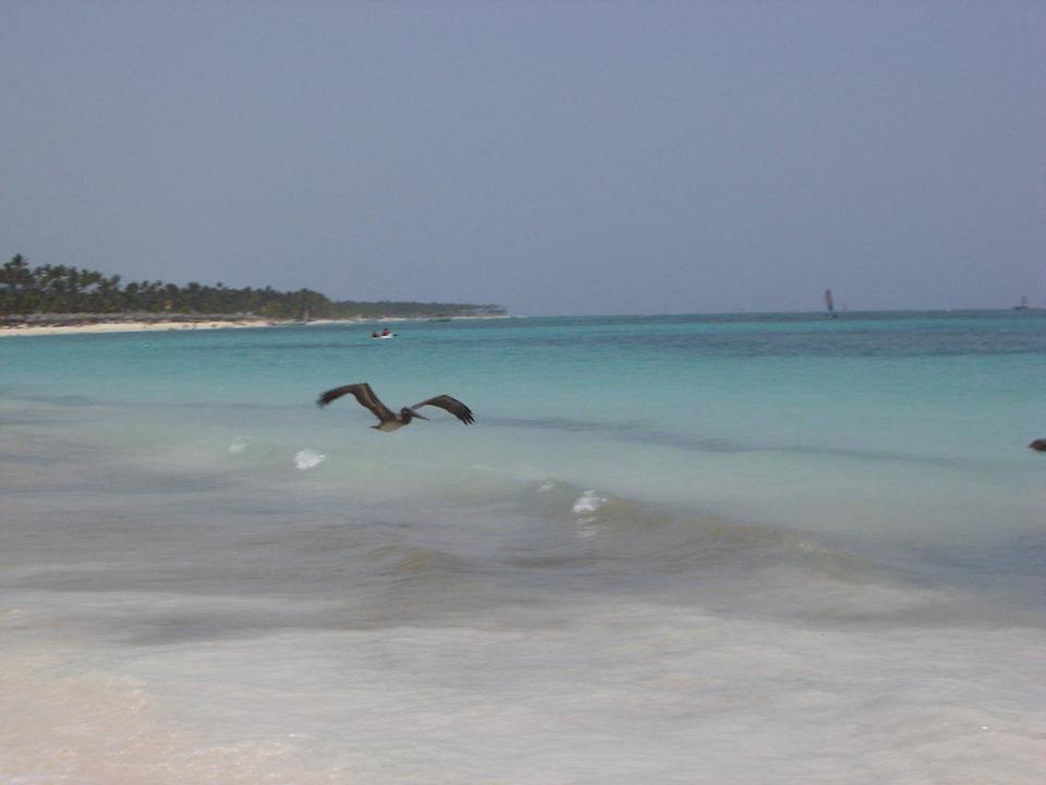 Hotelstrand Grand Palladium Select Bávaro Resort & Spa