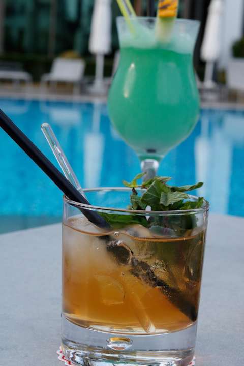 Gastro Acanthus Cennet Barut Collection