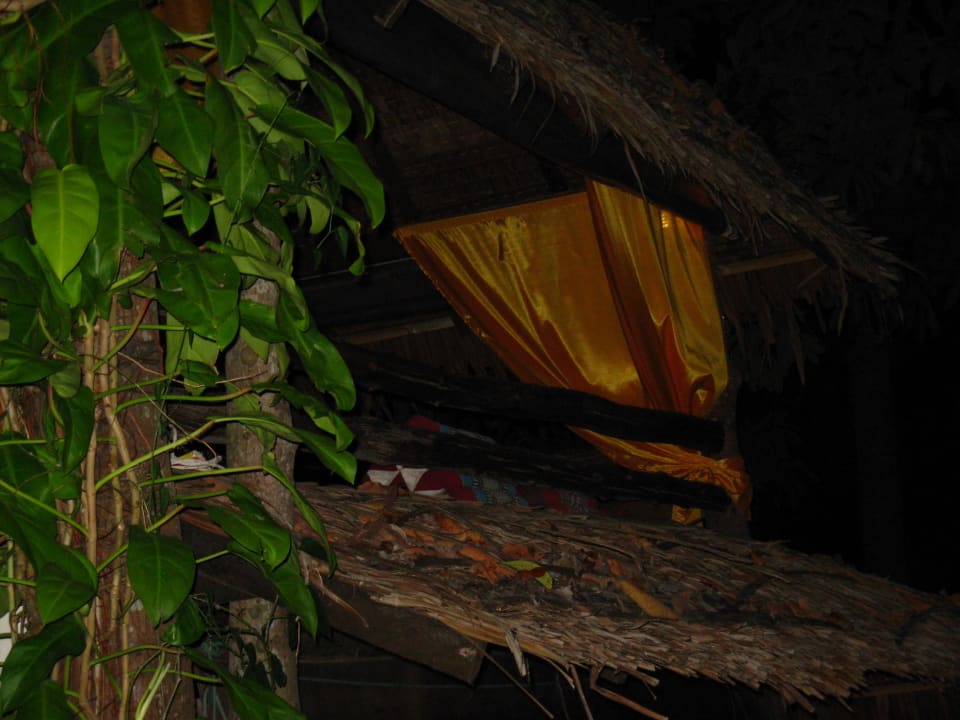 Ein Sala Hotel The Jungle Club