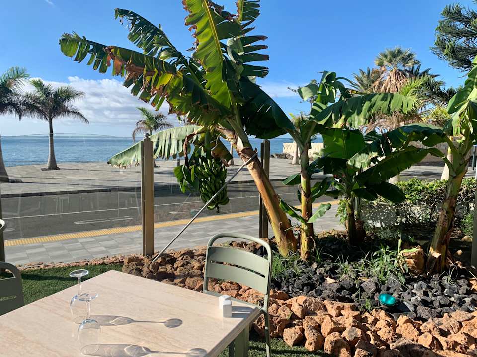 Gastro HOVIMA Jardin Caleta