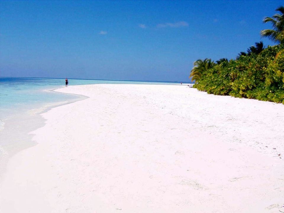121-1 kein Schatten am Strand. Vilamendhoo Island Resort & Spa