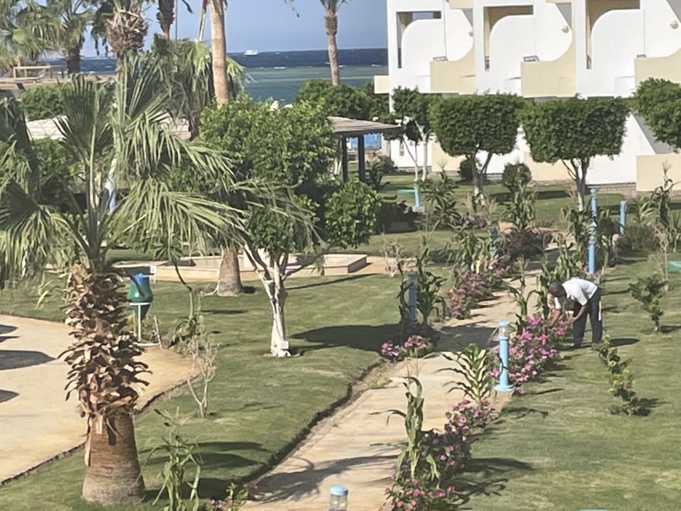 Gartenanlage LABRANDA Club Makadi