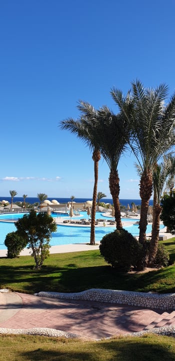 Pool Serenity Alpha Beach