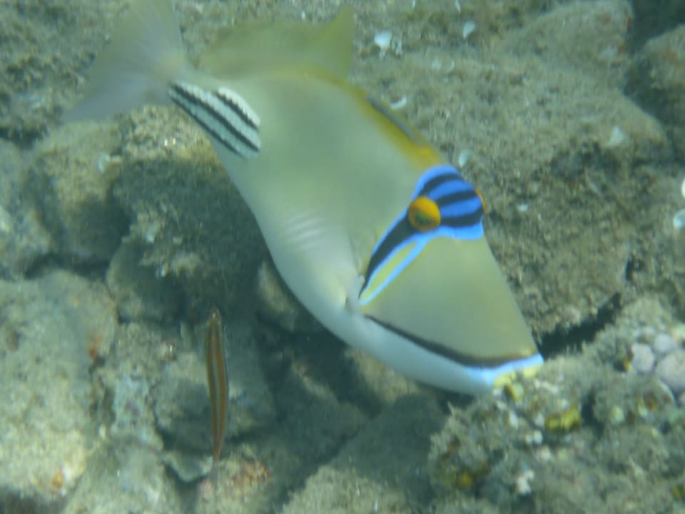 Strand Three Corners Equinox Beach Resort