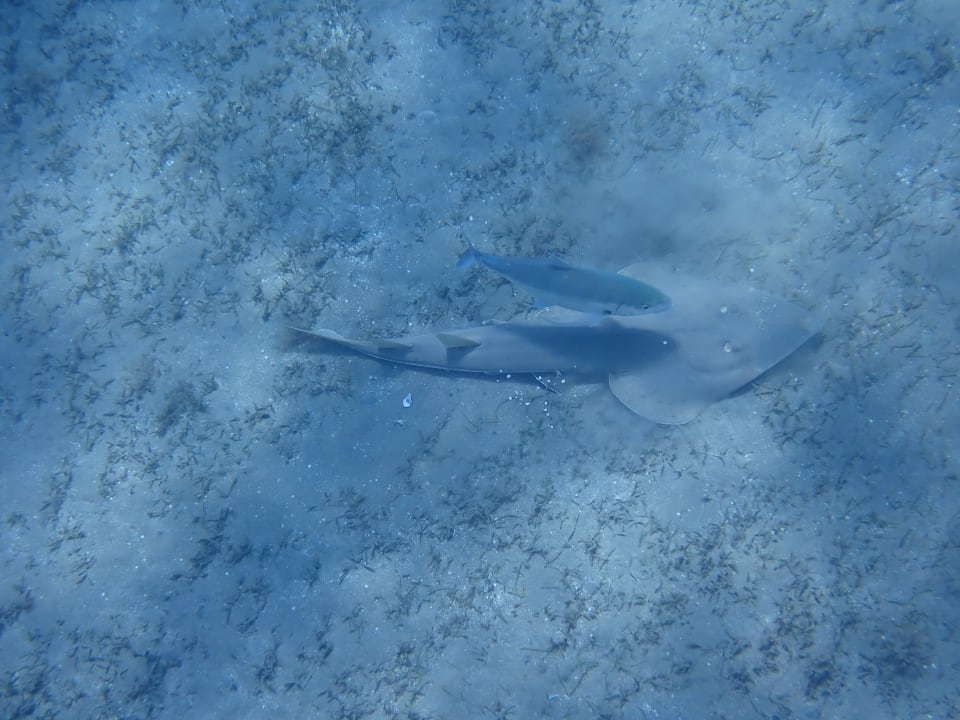 Strand Shams Alam Beach Resort