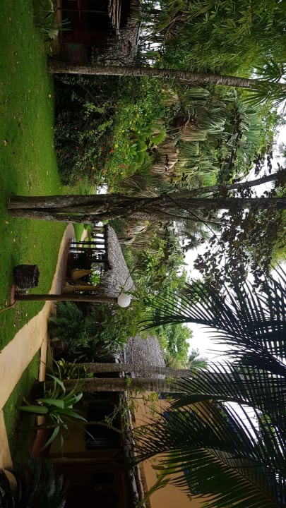 Gartenanlage Hotel Coyamar