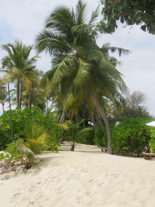 Strand Centara Ras Fushi Resort & Spa Maldives