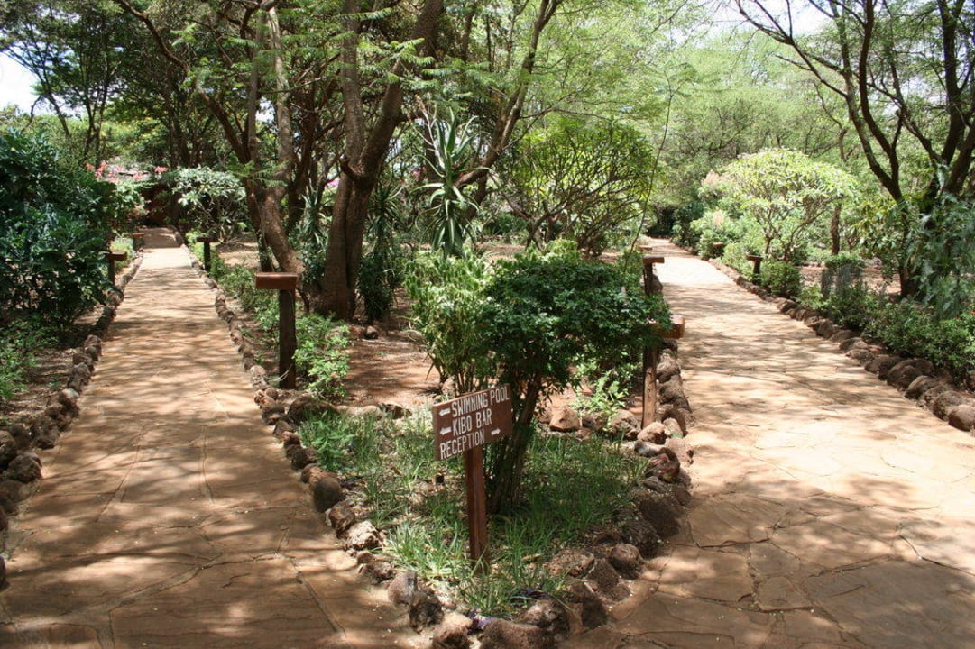 Ogród Hotel Amboseli Sopa Lodge