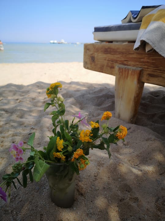 Strand Golden Beach Resort