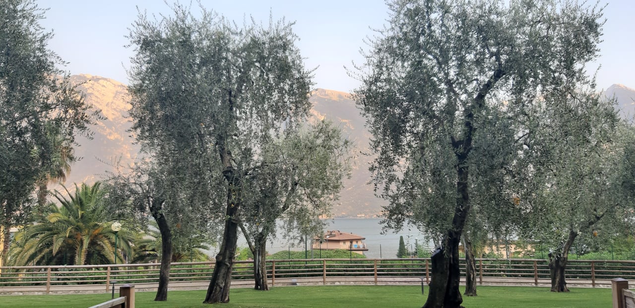 Gartenanlage Hotel Caravel