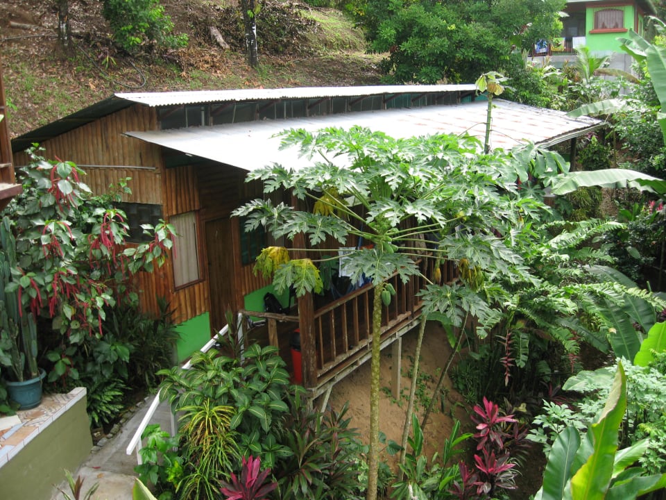 Blick auf Nachbarhaus Guesthouse Cabinas Manolo Drake Bay