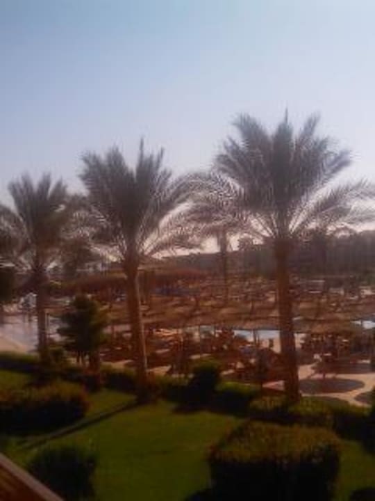 Dez. 2009 Pickalbatros Royal Moderna Resort-Sharm El Sheikh