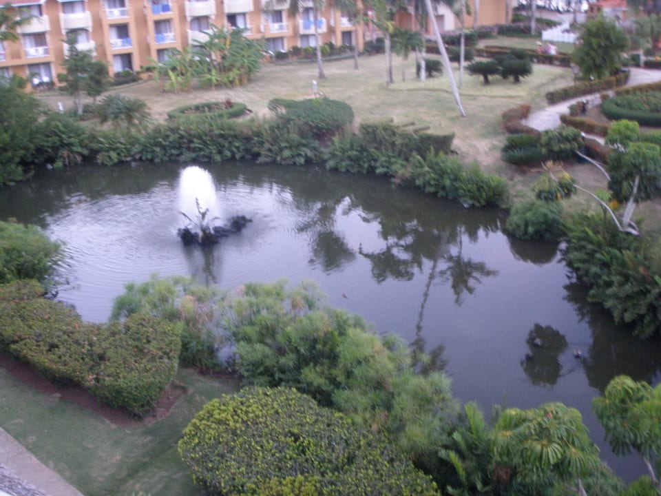 Garten Hotel Viva Dominicus Palace by Wyndham-All Inclusive Resort