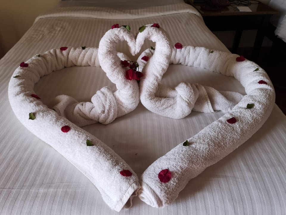 Zimmer Three Corners Sea Beach Resort