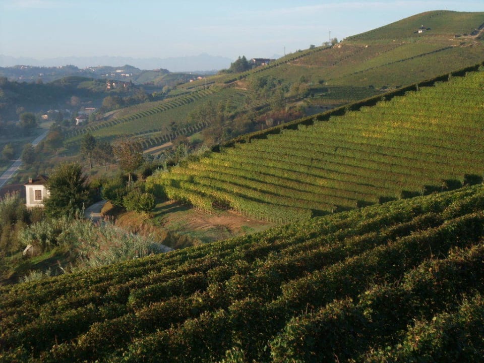 Anlage Agriturismo Villa Tiboldi