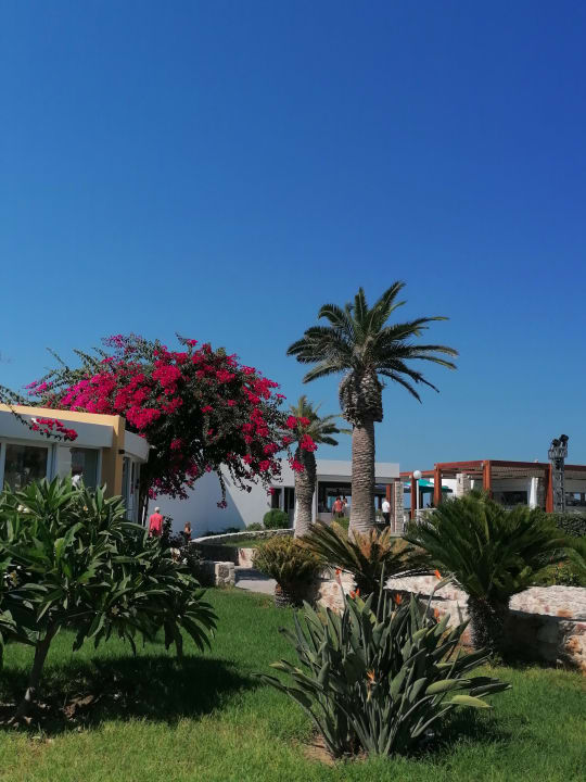 Gartenanlage Mastichari Bay Hotel