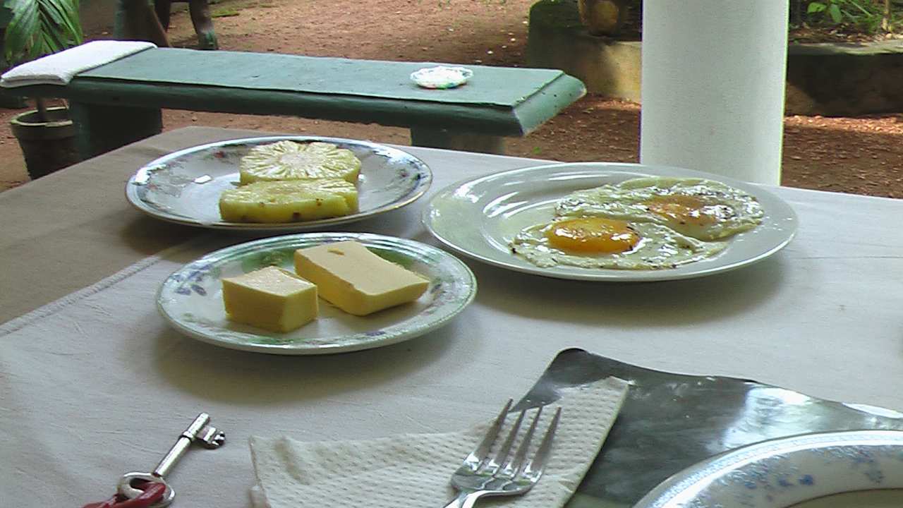 Gastro Sunshine Guesthouse