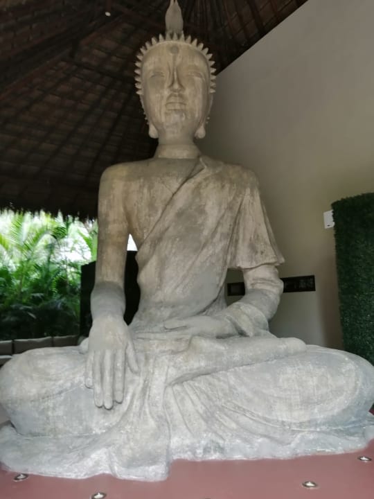 Sonstiges Akumal Bay Beach & Wellness Resort