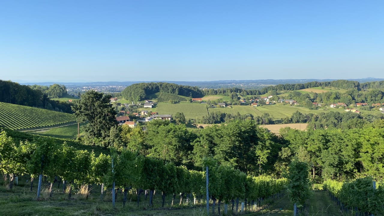 Ausblick Pension Weingut Skoff Original