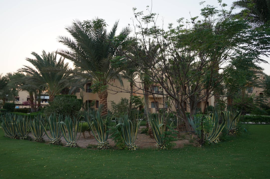 Schön angelegter Garten Steigenberger Coraya Beach - Adults only