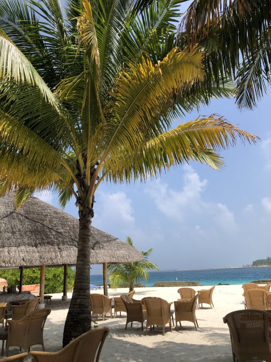 Gastro Kuramathi Maldives