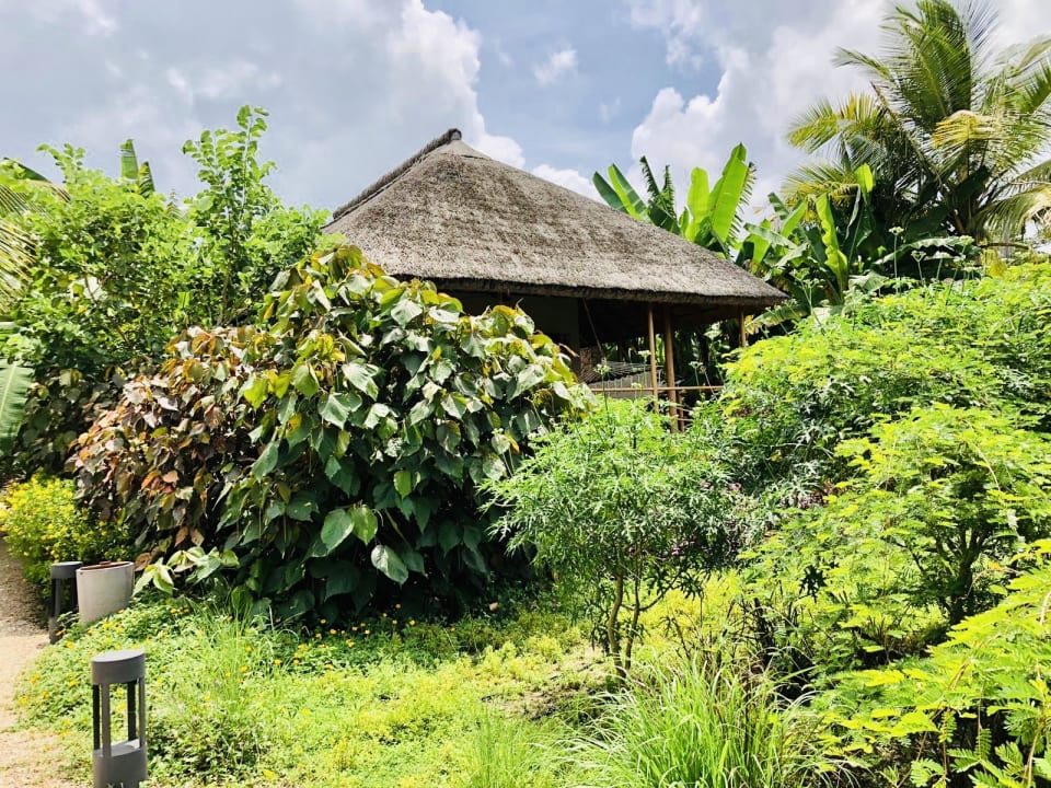 Gartenanlage Zuri Zanzibar Hotel & Resort