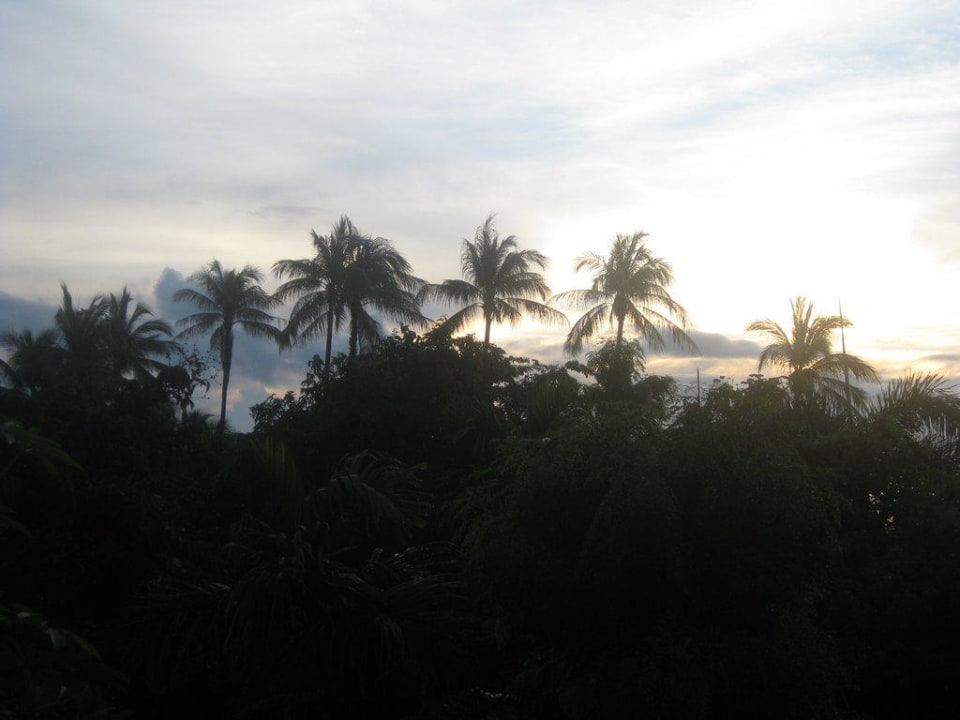 Morgens 6 Uhr Balkonblick Samui Natien Resort