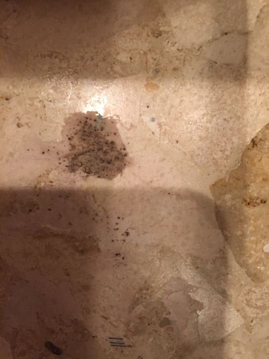 Zimmer Dreams La Romana Resort & Spa