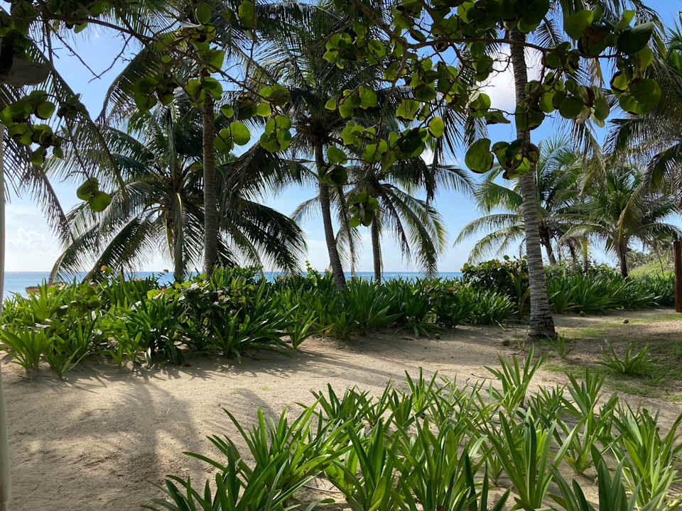 Gartenanlage Akumal Bay Beach & Wellness Resort