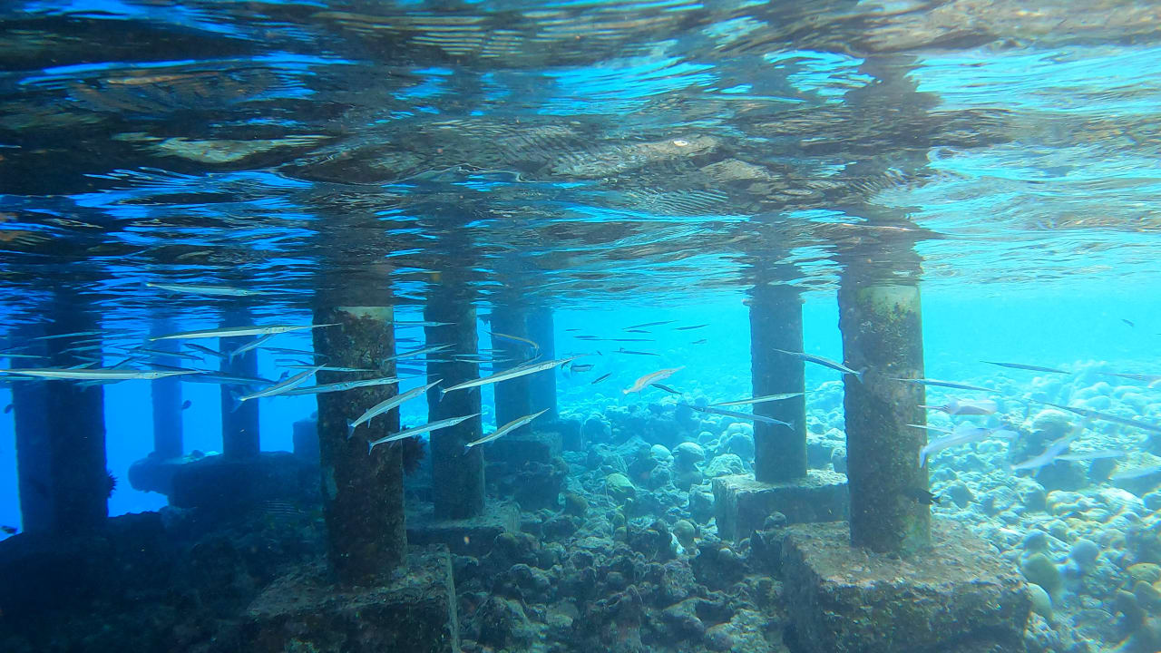 Sport & Freizeit Adaaran Select Meedhupparu Island Resort - Premium All Inclusive